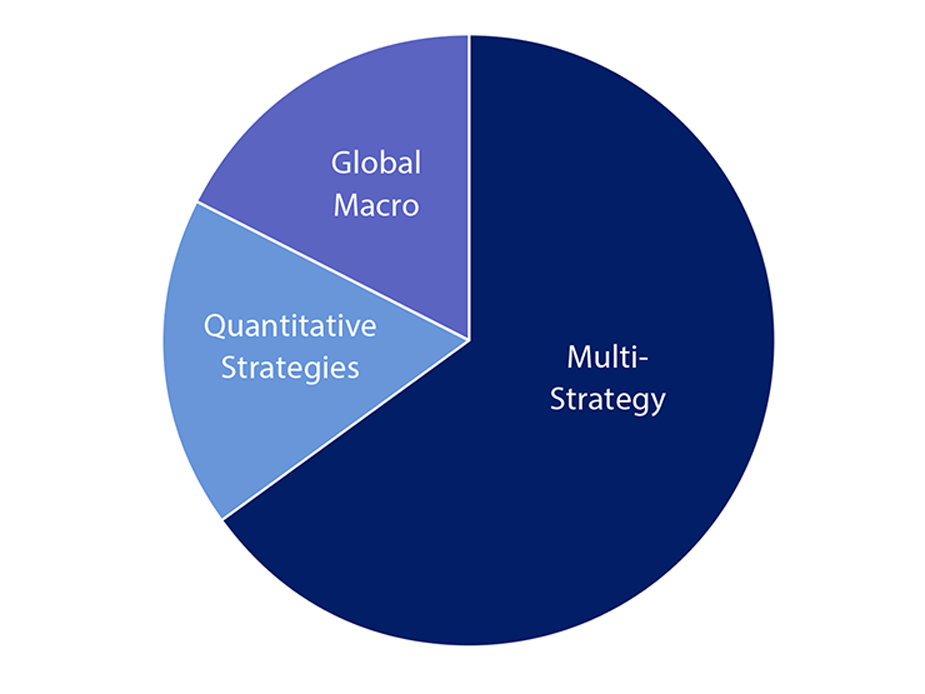 idhf-overview-allocation-chart-v02